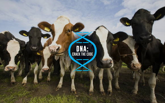 Genes & Inheritance - DNA Crack the Code